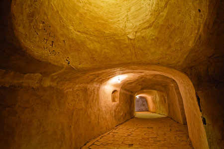 Nain old mosque passages