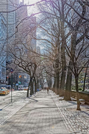 New York beautiful trees on Seventh Avenueのeditorial素材