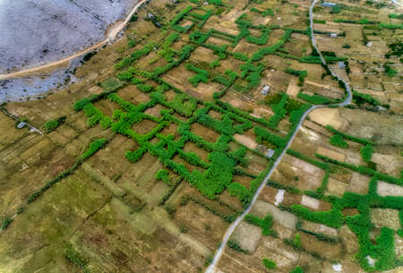 Island Pag landscape, Croatiaの写真素材