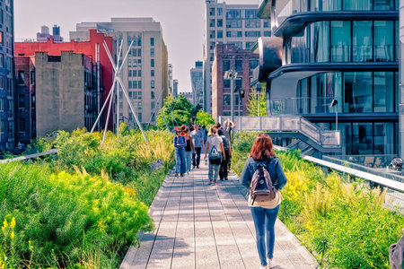 The High Line a elevated linear park in New Yorkのeditorial素材