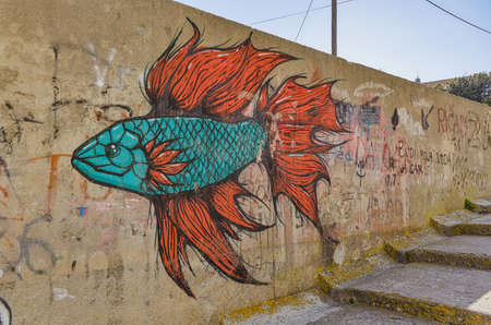 Fish graffiti on the wall at Sali Dugi Otok Croatiaのeditorial素材