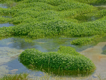 Source of the river Cetina near Sinj in Croatia