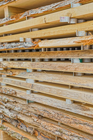 Stacked wood in the sawmill close up