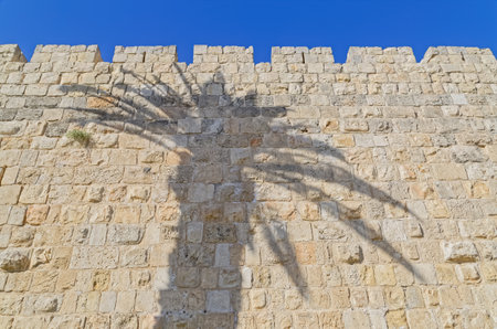City walls with palm tree shadow in Jerusalem Israelの写真素材