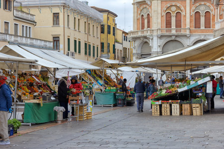 Piazza delle Erbe fresh food stalls in Padua Italyのeditorial素材