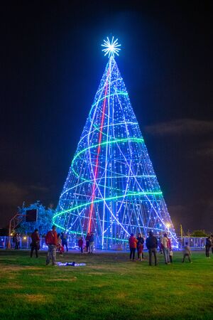 Christmas tree blue light with city lightsの写真素材