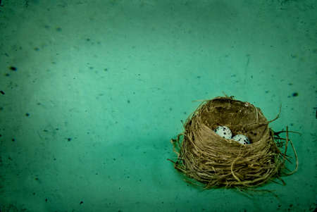 Birds Nest Rustic and Vintagedの写真素材