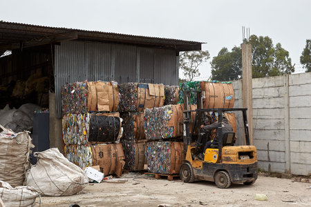 Argentina, Lomas of Zamora. June 2019. Informal workers perform sorting of recyclable materials in...