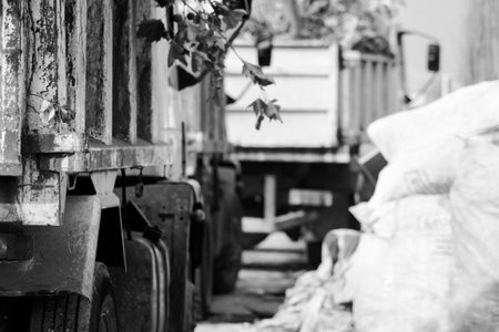 Argentina, Lomas of Zamora. June 2019. Informal workers perform sorting of recyclable materials in...