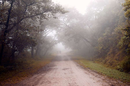 Trail through the mountain on an autumnal morning of hazeの写真素材