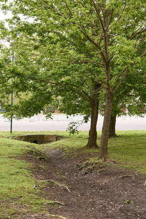 urban park landscape on a cloudy afternoonの写真素材