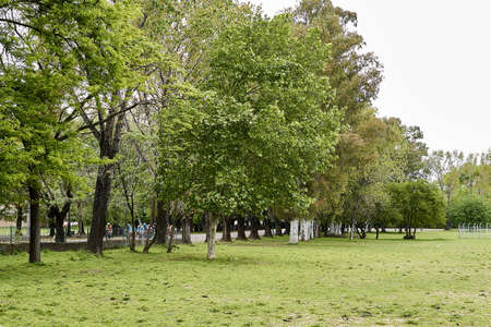 urban park landscape on a cloudy afternoonの写真素材
