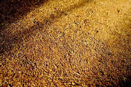 A pile of grain with light and shadows adding depthの写真素材