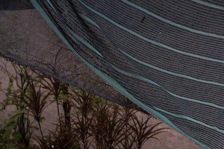 Tree nusery roofing cloth in the park