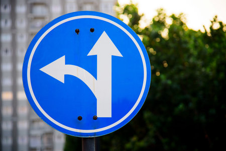 Traffic sign indicating the direction of movement on the road in the city