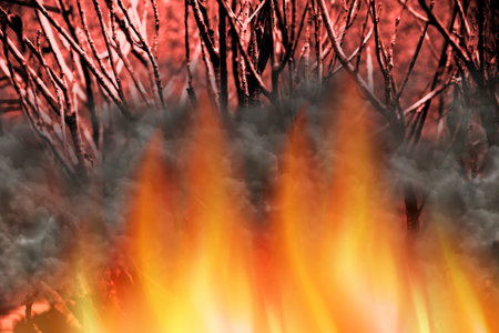 Burning fire in the forest on a red background. Close-up.