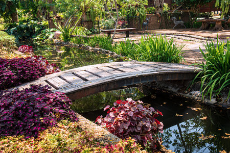 Wooden bridge over the pond in the garden at Chiang Rai province, Thailand.の写真素材