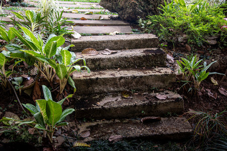 Old stone stairs in the garden, vintage tone, nature background.の写真素材