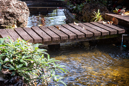 Wooden walkway in the garden with natural background, Thailand.の写真素材