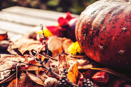 autumn decorationの写真素材