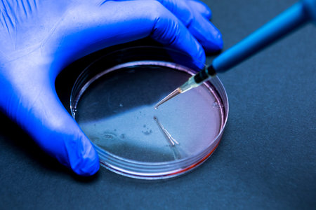 Detail of a pipette that drops a drop of fluid into a petri dish in a laboratory with a blue...