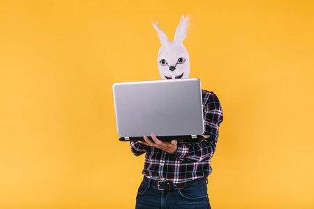 Disguised person in rabbit mask with checkered shirt and jeans, holding a laptop working, on yellow background. Carnival, party, easter and celebration concept.の写真素材