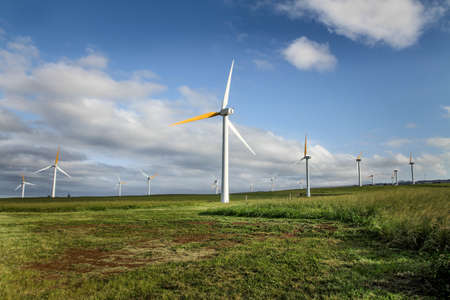 Ecological wind turbinesの写真素材
