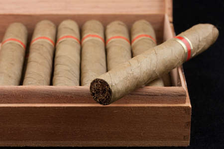 Dutch Cigars in a wooden boxの写真素材