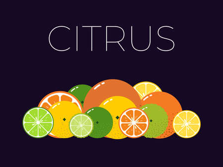 Vector Citrus Fruits pack and sliced half of Citrus on dark backgroundのイラスト素材