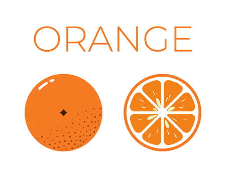 Vector of orange and sliced half of orange on white backgroundのイラスト素材