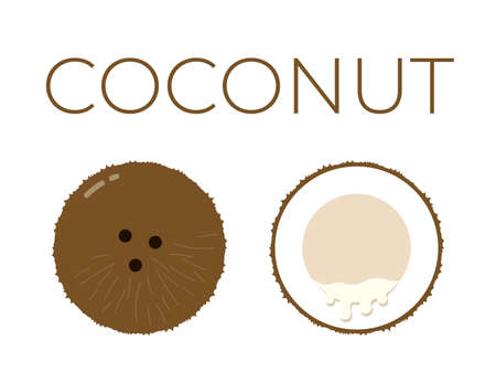 Coconut and sliced half of Coconut on white backgroundのイラスト素材