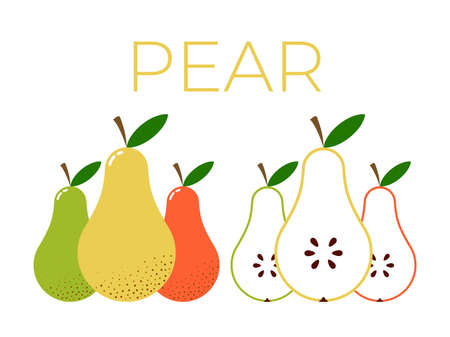 Vector of Pear and sliced half of Pear on white backgroundのイラスト素材