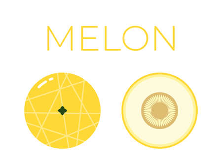 Vector of Melon and sliced half of Melon on white backgroundのイラスト素材