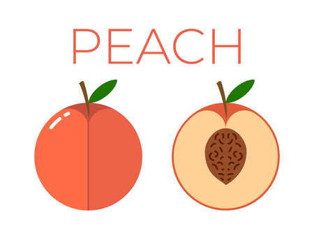 Peach and sliced half of Peach on white backgroundのイラスト素材