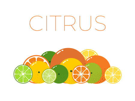 Vector Citrus Fruits pack and sliced half of Citrus on white backgroundのイラスト素材