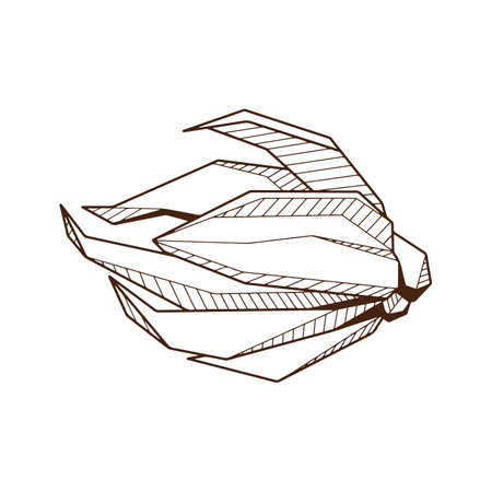 Hand drawind geometrical flower bud, Ylang-Ilang bud line artのイラスト素材