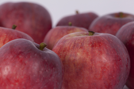 Red Apples at Harvest Timeの写真素材