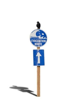 Bird resign on tsunami evacuation warning sign.の写真素材