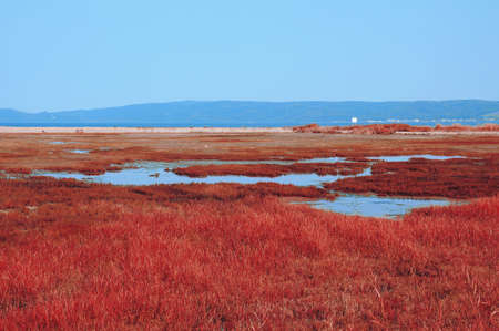 Beautiful sceneryの写真素材