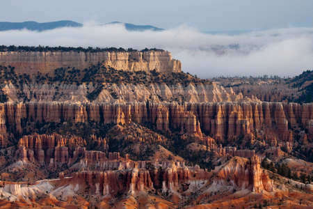 Early Morning In Bryce Canyonの写真素材