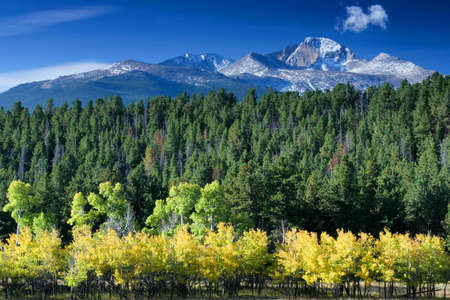 Long's Peak and Aspensの写真素材