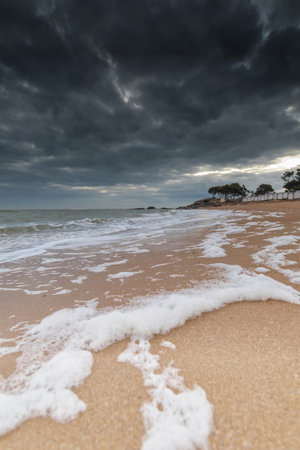 The beaches and the sea of Noirmoutier islandの写真素材