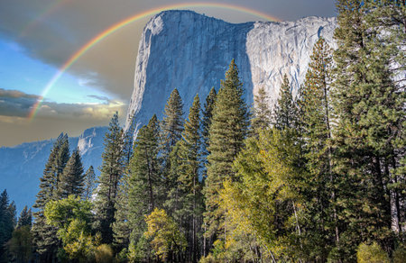 Yosemite national park in sierra Nevada of country of Californiaの写真素材