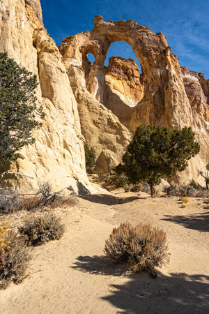 The cotonwood, road in Utah countryの写真素材