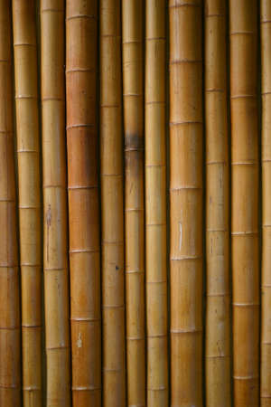 japanese bamboo backgroundの写真素材