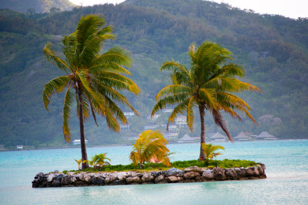 Little Island Oasis in Bora Bora