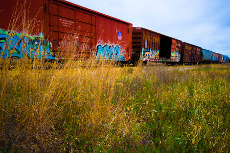 Train Cars with Colorful Graffiti