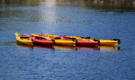 Kayaks