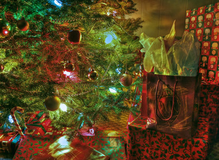 Under the tree 57
