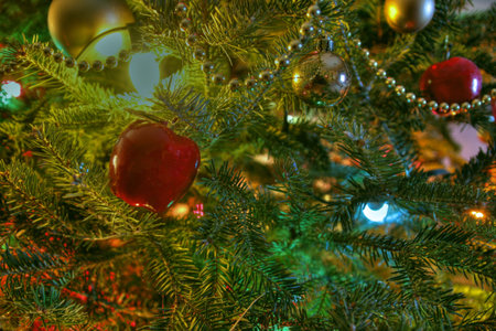 Tree ornament 77の写真素材